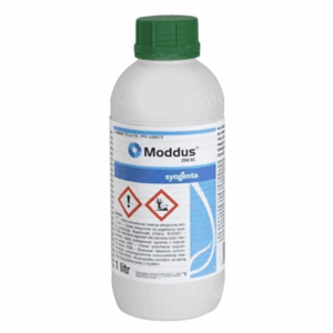 MODDUS 250EC 1L