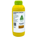 PENDIGAN STRONG 400 SC